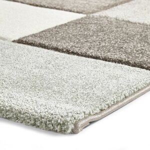 Brooklyn 646 BeigeGreen Rug - Beige/Green / 230cm by NA