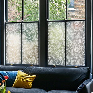 Agira Frosted Privacy Window Film by Creative Printing Solutions