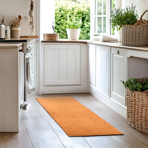 PVC Coir Non-Shed Kitchen Hallway Runner by Nicoman