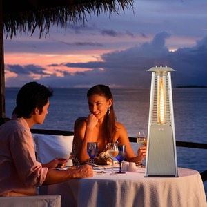 Gas Patio Heater Premium Stainless Steel - Silver