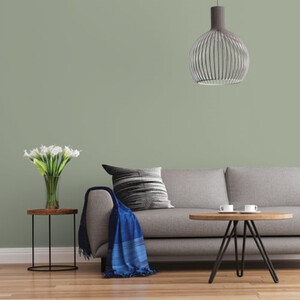 Johnstone's MY Colour Luxurious Durable Matt Paint - Boulder Lichen by Johnstone's