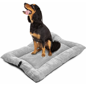 Modern Cozy Dog Bed by DogCratesPlus