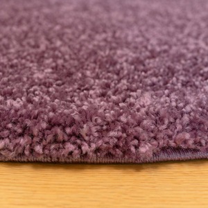 Soft Value Purple Mauve Shaggy Area Rug by The Rug House