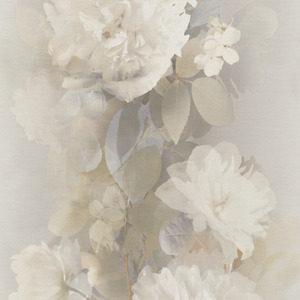 Lucent Bloom by Erismann