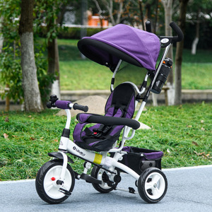 HOMCOM 6 in 1 Kids Trike Push Bike for 1-5 Years - Purple by HOMCOM