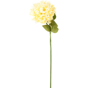 Assorted Pom Stem - Yellow or Cream