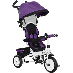 HOMCOM 6 in 1 Kids Trike Push Bike for 1-5 Years - Purple by HOMCOM
