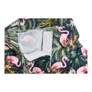 Eden Pet Shirt by Clever Paws