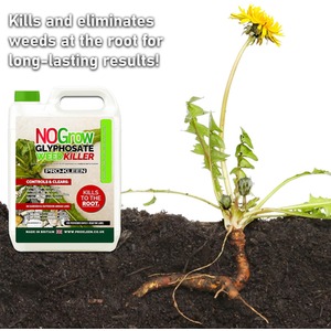 NOGROW WeedKiller 4 Litre Deep Root Killing 7.2g l Glyphosate Weed Killer - Clear / 4L by Pro-Kleen
