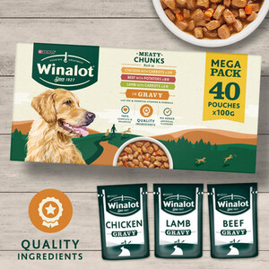 Pack of 40 Winalot Perfect Portions Dog Food Pouches by Winalot