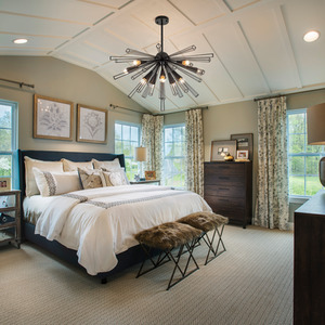 10 Lights Dandelion Pendant Modern Sputnik Chandelier - Black