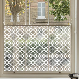 Ailoche Frosted Window Film by Creative Printing Solutions