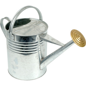 Galvanised Watering Can - Silver by ARBORIA