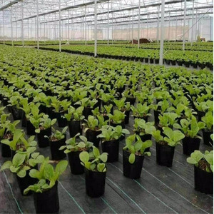 Heavy Duty Weed Control Barrier Fabric 100gsm