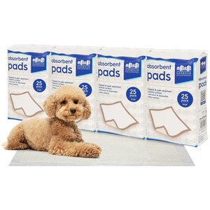 Disposable Puppy Training Pads - 60cm x 60cm - Pack of 25 - White / 100 by Harbour Housewares