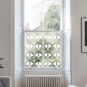 Aggius Privacy Frosted Window Film. by Creative Printing Solutions