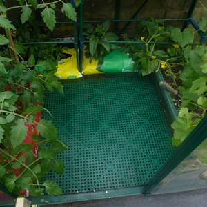 Green Versatile - Green