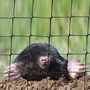 Heavy Duty Fruit Cage Netting Mole Protection Mesh by True Products