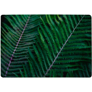 Green Leaves, Abstract Flora Texture Designer Rug - Green / 230cm by NA