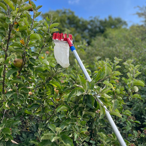 Deluxe Lightweight Telescopic Apple and Fruit Picker - Silver / 1 by Selections