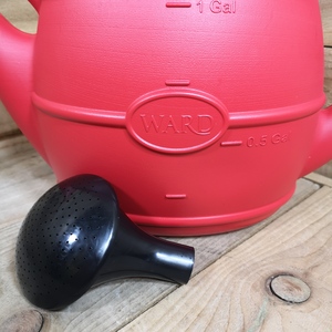 5L Ward Garden Watering Can with Rose - Red - Red by Samuel Alexander