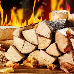 Laeto Firewood Depot Kiln Dried Mixed Hardwood Logs Box - Neutral by Laeto