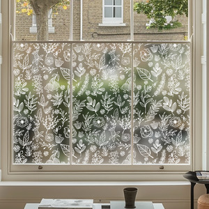 Agira Frosted Privacy Window Film by Creative Printing Solutions