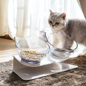 Double Bowl Slanted Cat Feeder by Livingandhome