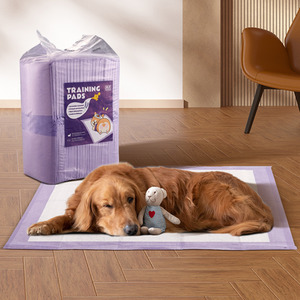Dog Training Pads Leak Proof Disposable Urinal Pads - Purple by Livingandhome