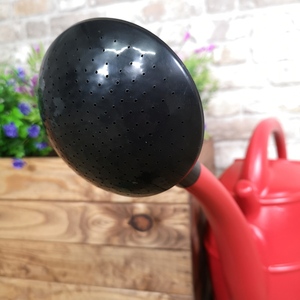 10L Ward Garden Watering Can with Rose - Red - Red by Samuel Alexander