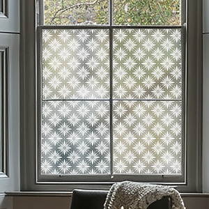 Airuno Frosted Window Film by Creative Printing Solutions