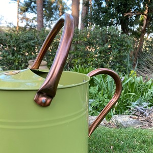 9 Litre Metal Watering Can with Rose - Sage by Selections