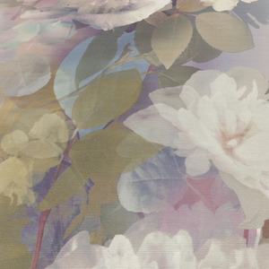 Lucent Bloom by Erismann