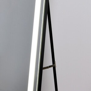 Bright LED Standing Dress Mirror