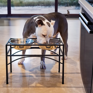 Step-Design Elevated Dog Feeder with Double Bowls - Black by Livingandhome