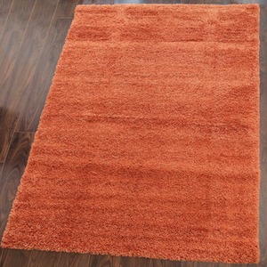 Super Soft Terracotta Orange Shaggy Living Area Rug by The Rug House