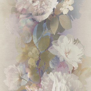 Lucent Bloom by Erismann