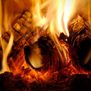 Warma Softwood Kiln Dried Logs Firewood Firepit Chimenea Pizza Oven Logs 7kg - Brown by Warma