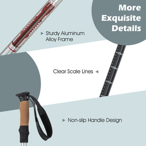 2 Pcs Collapsible Walking Stick - Silver by Costway