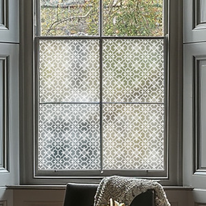Aglie Frosted Privacy Window Film by Creative Printing Solutions