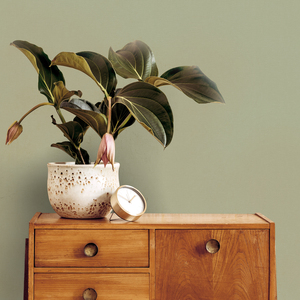 Superfresco Easy Amour Texture Wallpaper - Sage by Superfresco Easy