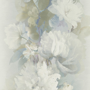 Lucent Bloom by Erismann