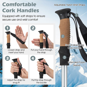 2 Pcs Collapsible Walking Stick - Silver by Costway