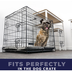 Modern Cozy Dog Bed by DogCratesPlus