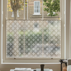 Aglie Frosted Privacy Window Film by Creative Printing Solutions