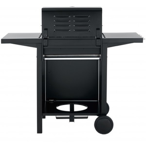 Mayfield Outdoor 2 Burner Gas Barbecue Grill - Black by Tepro