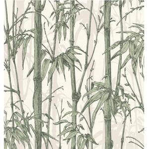 Bamboo Wallpaper Jungle Textured Vinyl - Green by Rasch