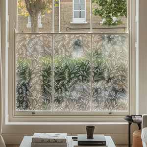 Adrano Classic Frosted Window Film by Creative Printing Solutions