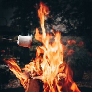 Steel Garden Firepit Bowl - Black by Harbour Housewares