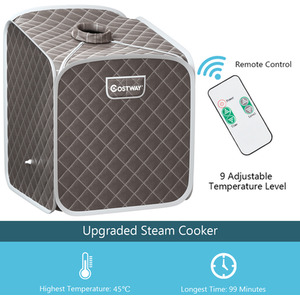 2L Foldbale Steam Sauna Personal Therapeutic Steam Spa - Grey by Costway